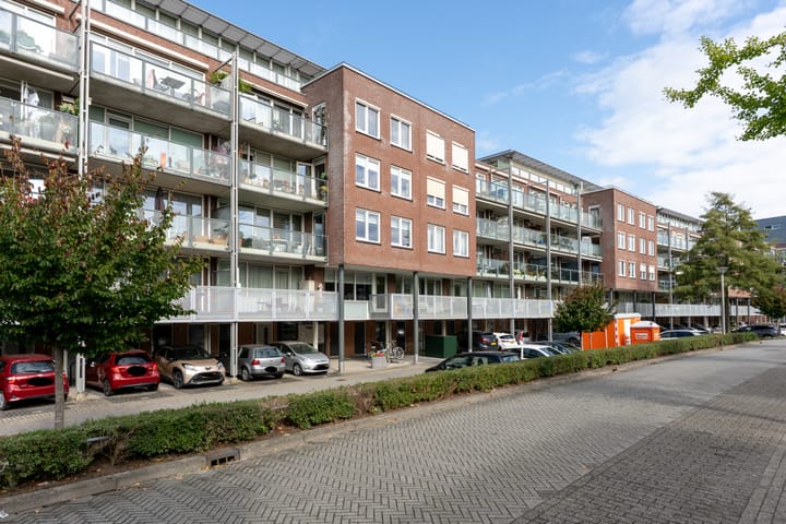 Foto 5 van Rijsenborch 81