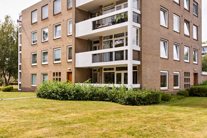 Foto 2 van Waddenland 16