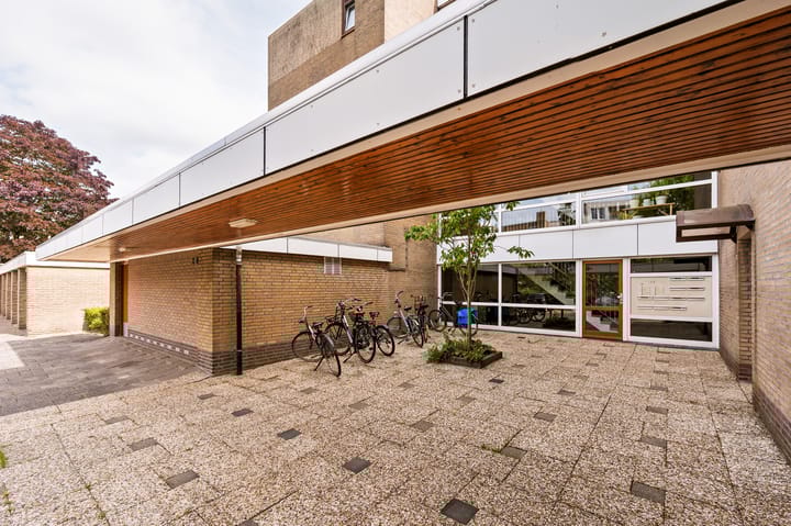 Foto 30 van Waddenland 16