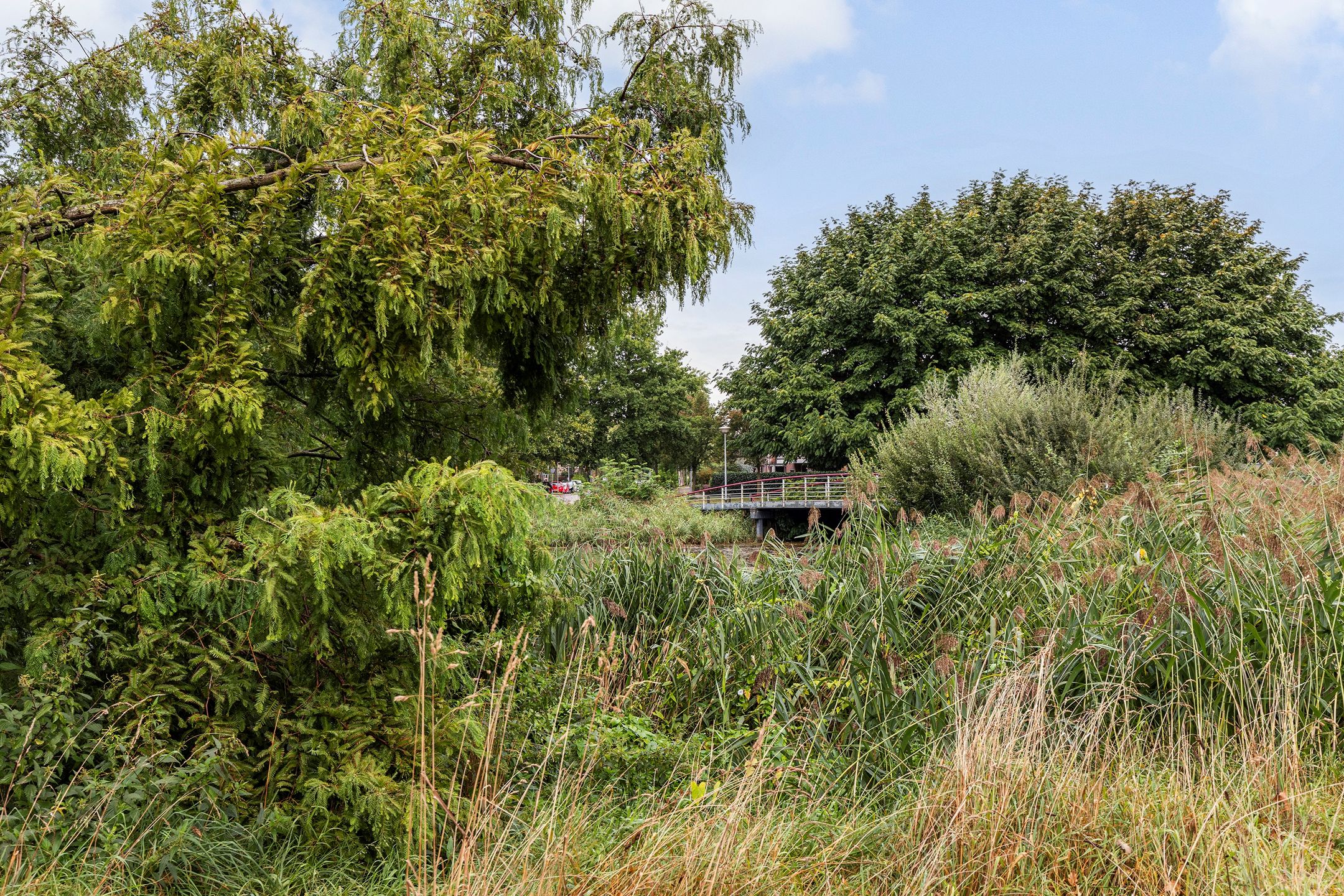 Foto 24 van Oldenallerhout 12