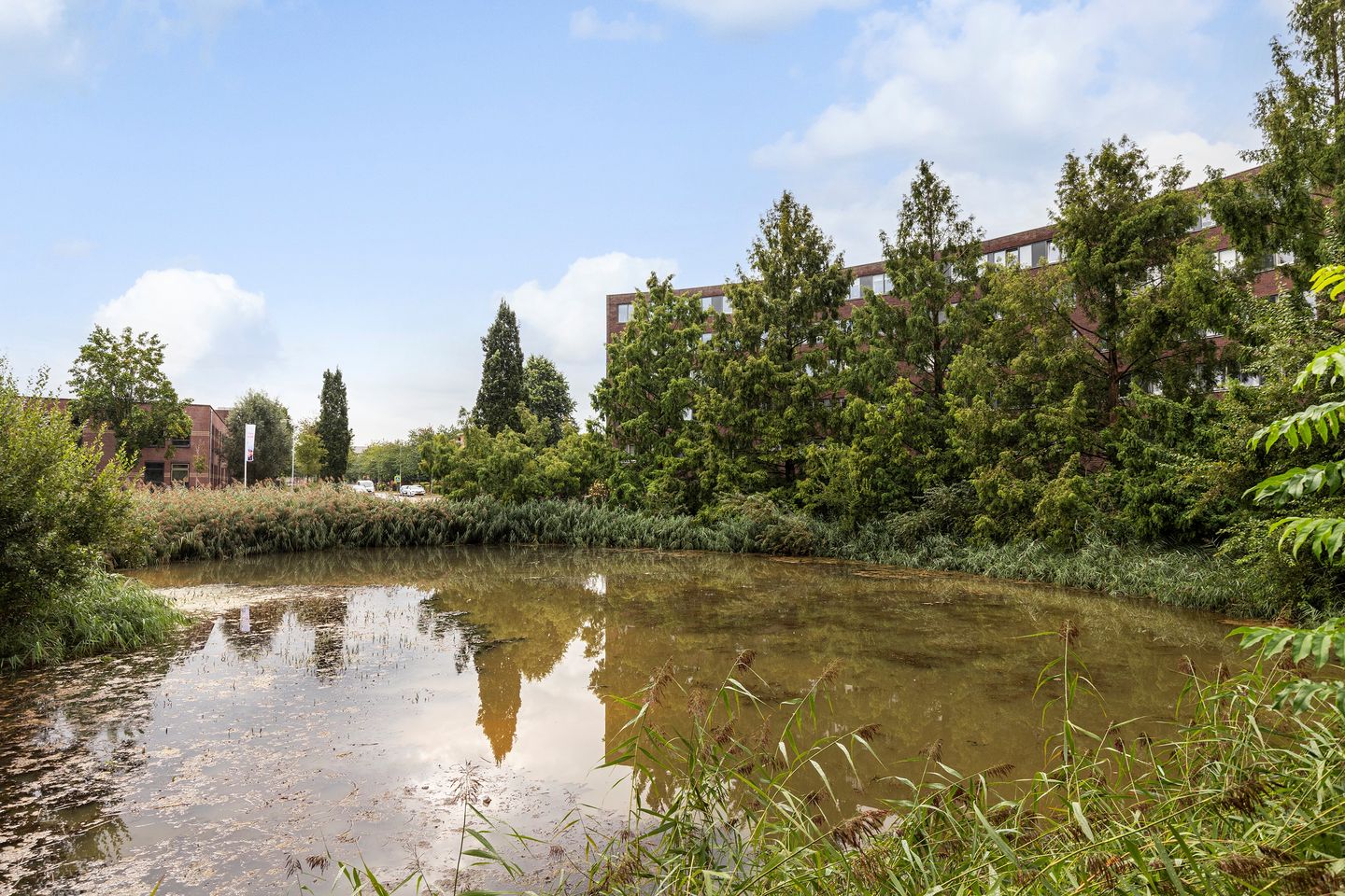 Foto 25 van Oldenallerhout 12