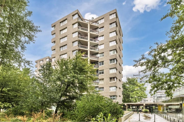 Photo 1 of Gouden Leeuw 242