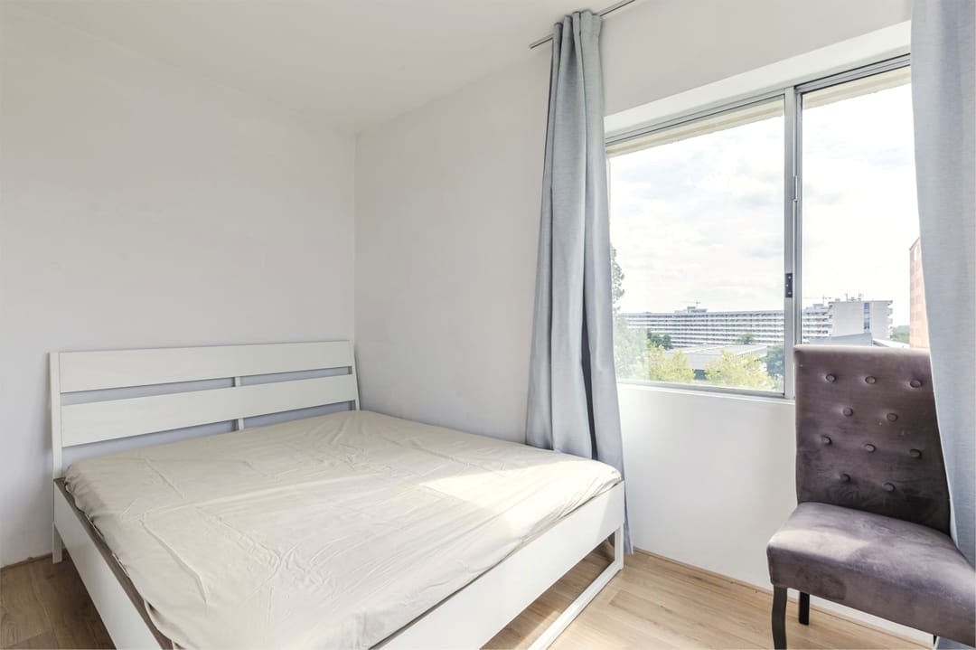 Foto 8 van Gouden Leeuw 242