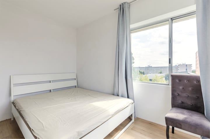 Photo 8 of Gouden Leeuw 242