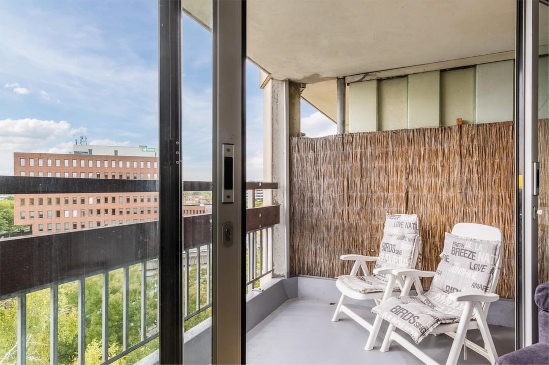 Foto 17 van Gouden Leeuw 242