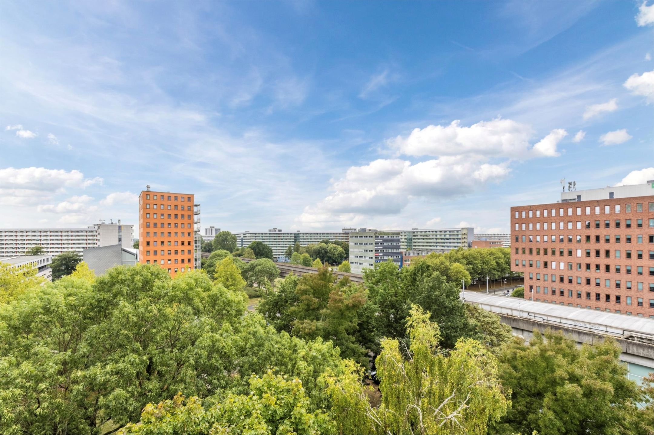 Foto 18 van Gouden Leeuw 242