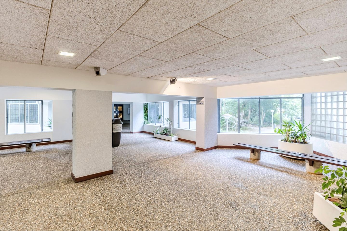 Foto 19 van Gouden Leeuw 242