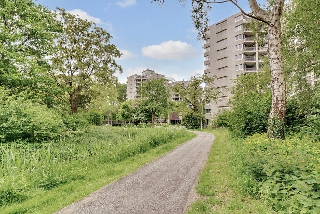 Foto 21 van Gouden Leeuw 242