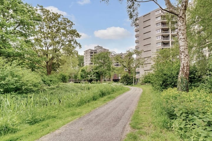 Photo 21 of Gouden Leeuw 242