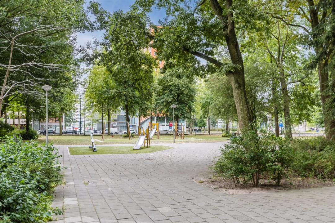 Foto 22 van Gouden Leeuw 242