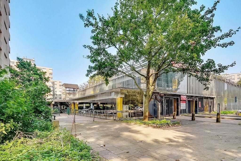 Foto 24 van Gouden Leeuw 242