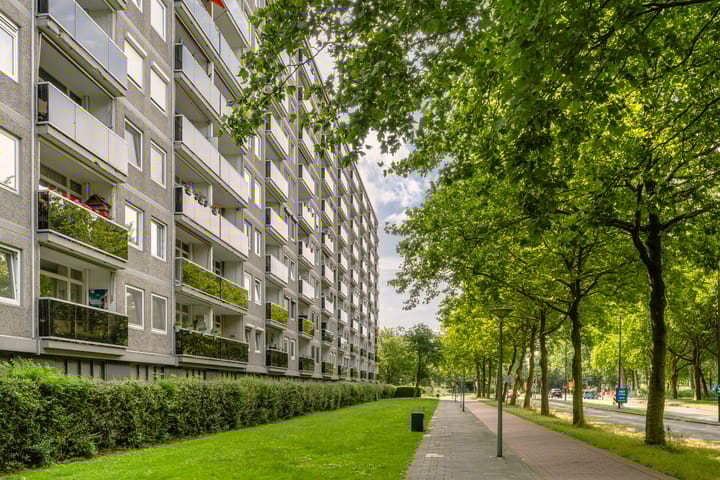 Lepelaarsingel 142 main image