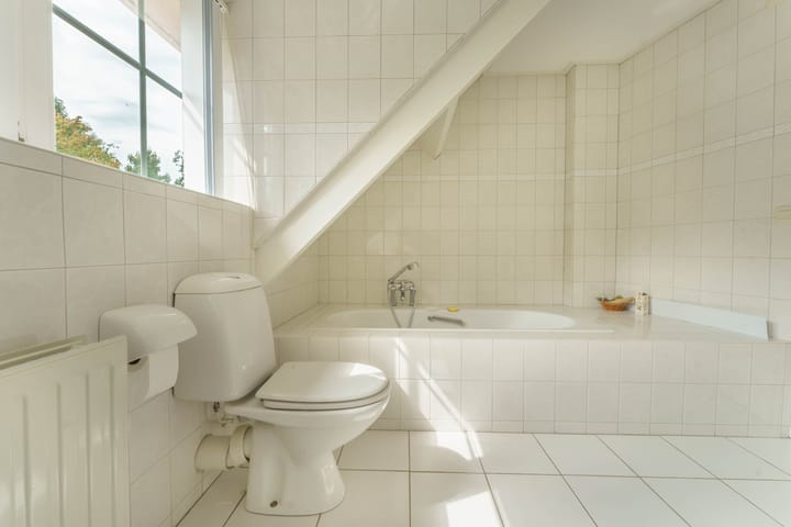 Foto 26 van Heer Janszdorp 29