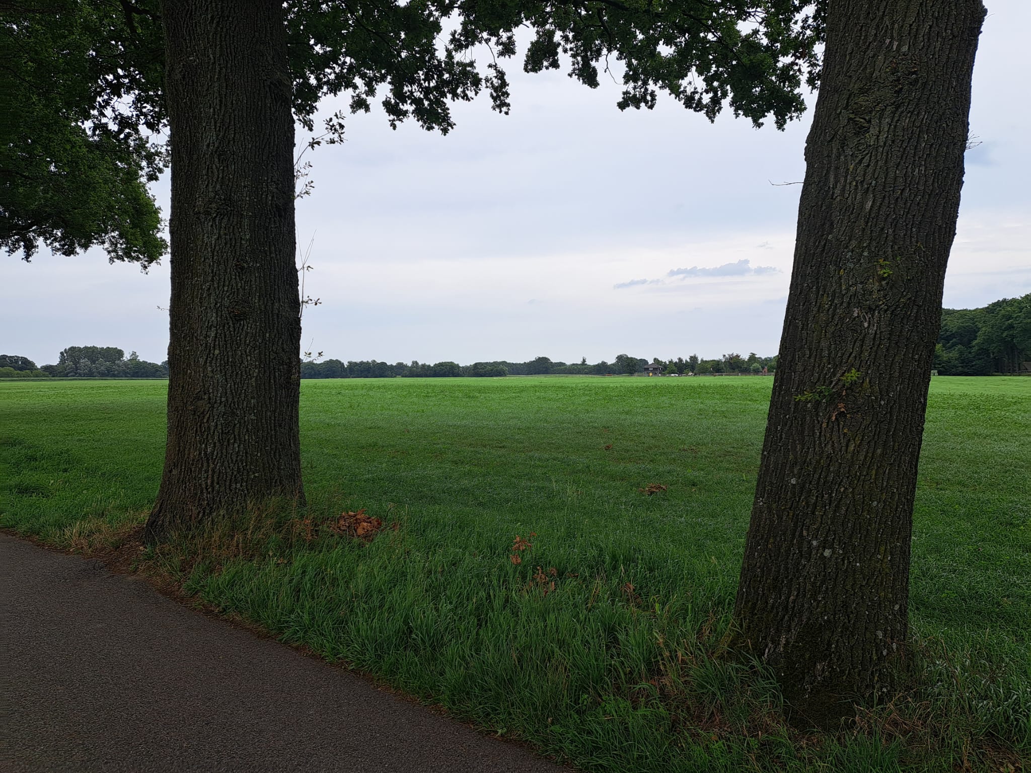 Foto 6 van Huppelseweg