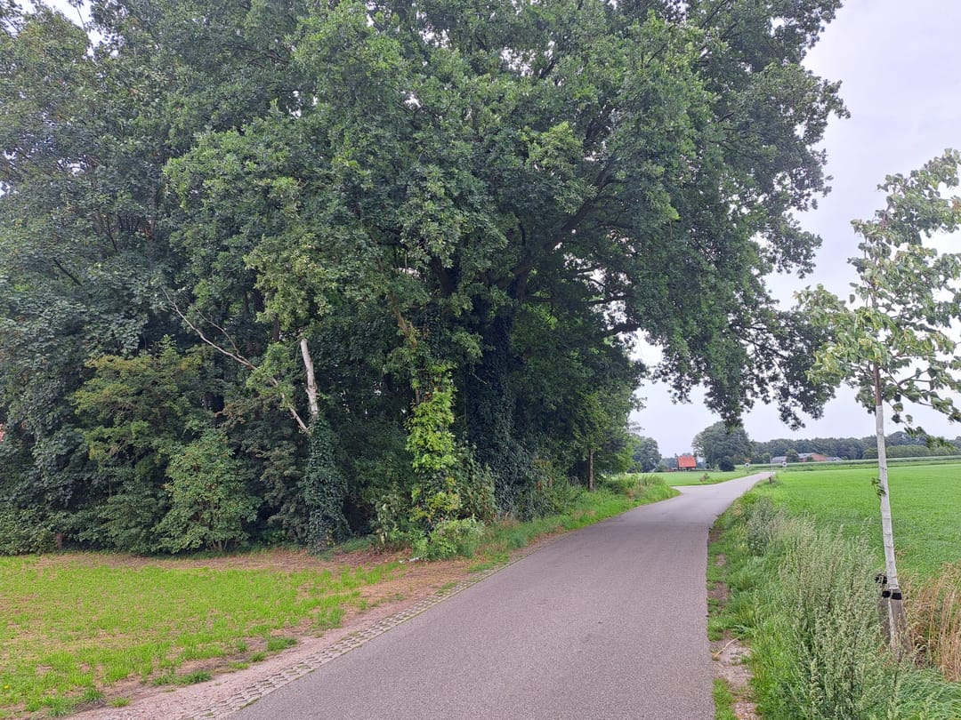 Foto 8 van Huppelseweg