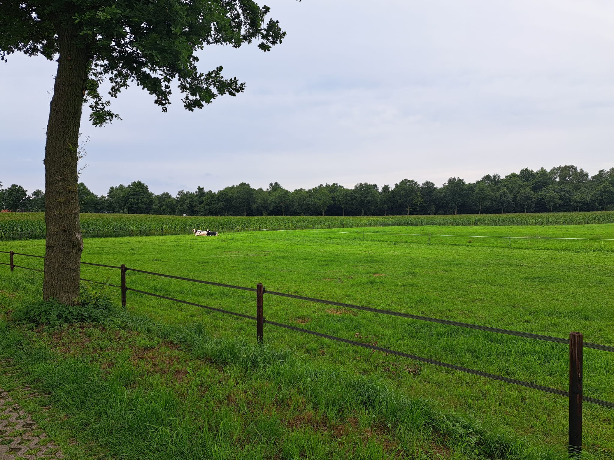 Foto 9 van Huppelseweg