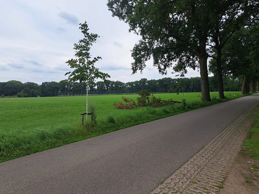 Foto 11 van Huppelseweg