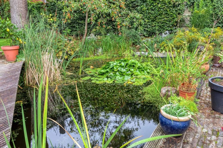 Foto 38 van Sprengenweg 72