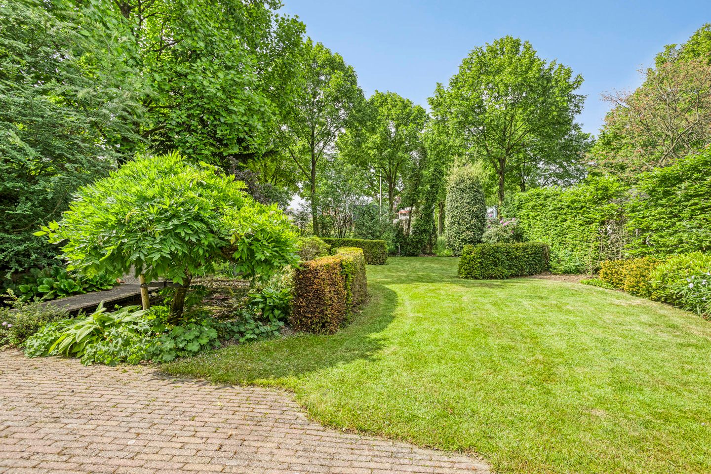 Photo 4 of Gentiaan 1