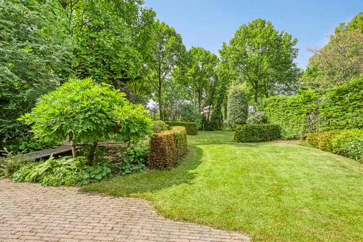 Foto 4 van Gentiaan 1