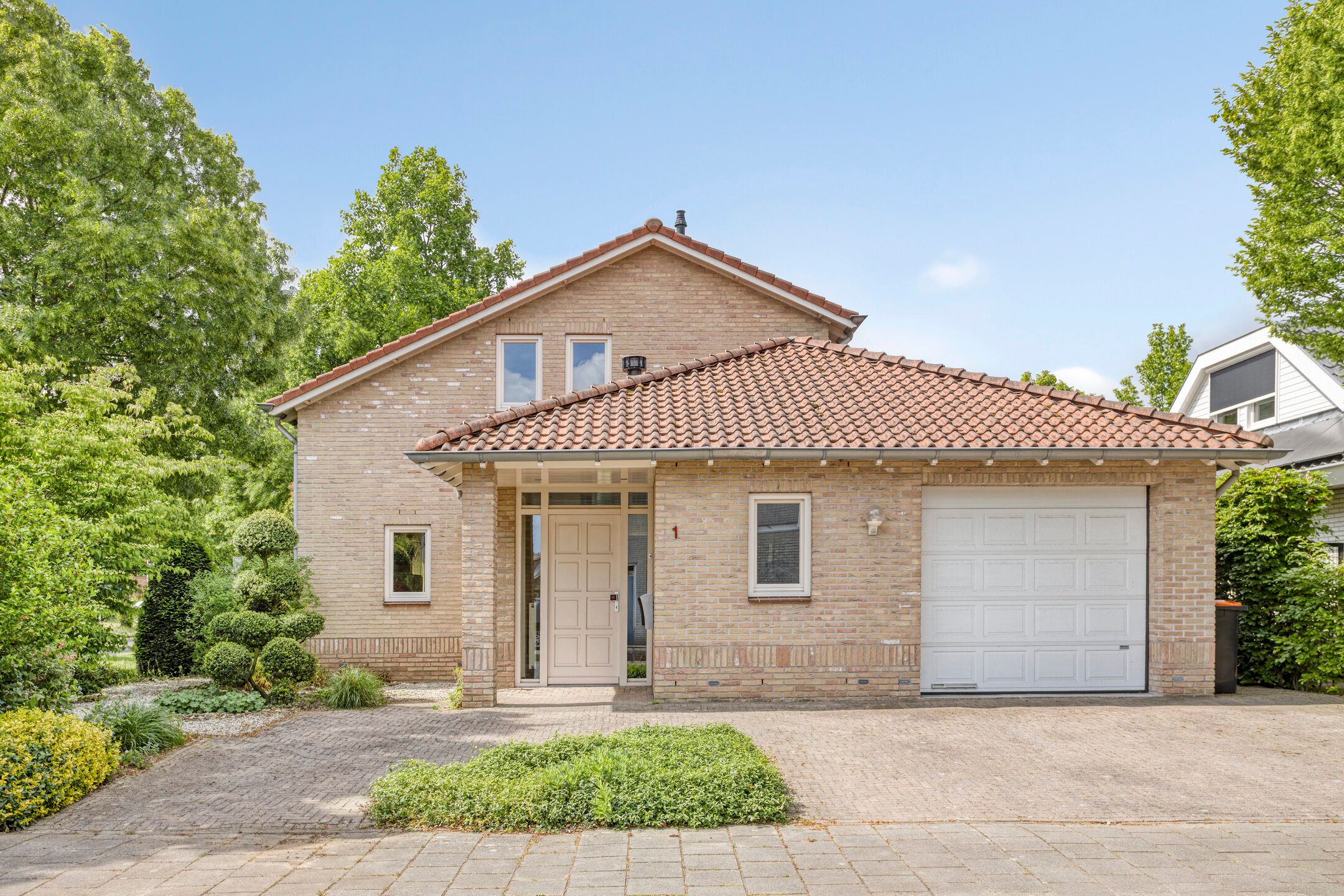 Photo 6 of Gentiaan 1