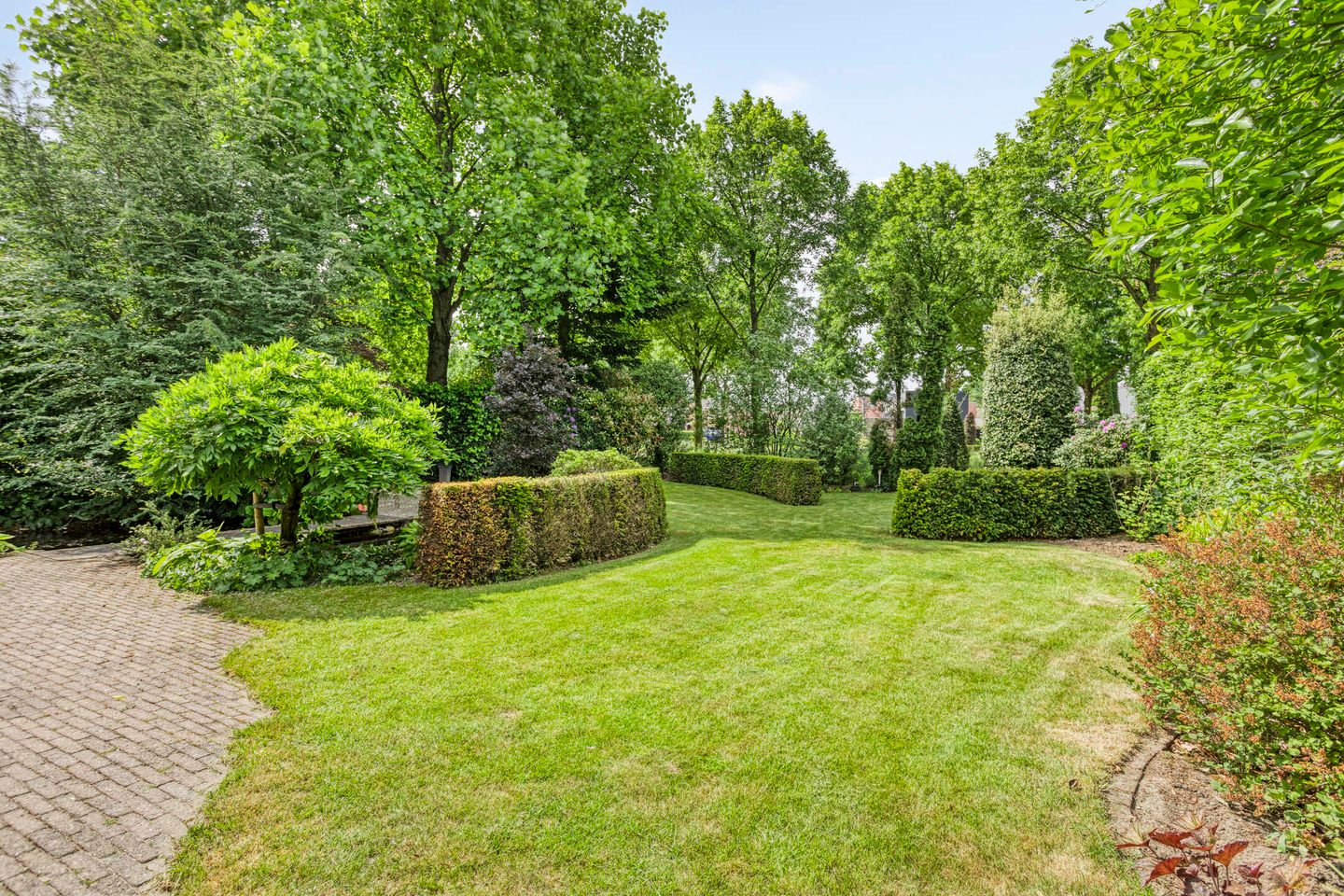 Photo 40 of Gentiaan 1