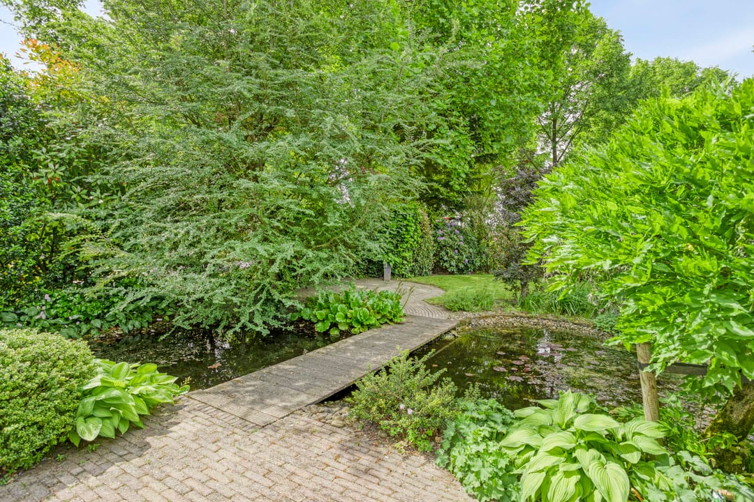 Photo 41 of Gentiaan 1