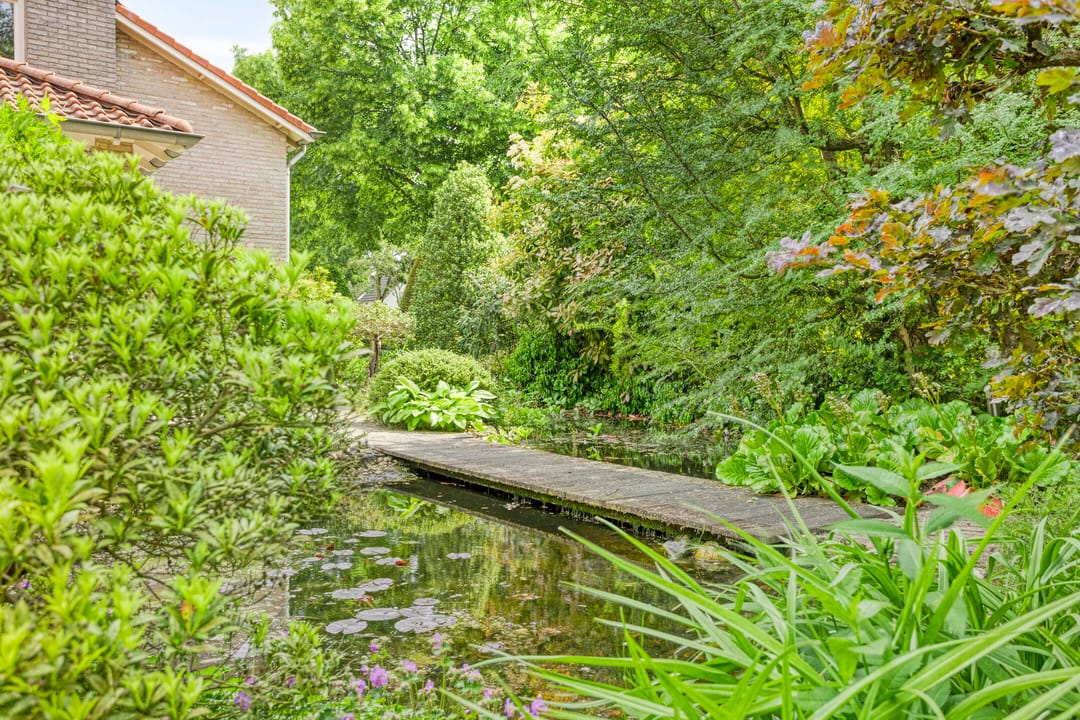 Photo 43 of Gentiaan 1