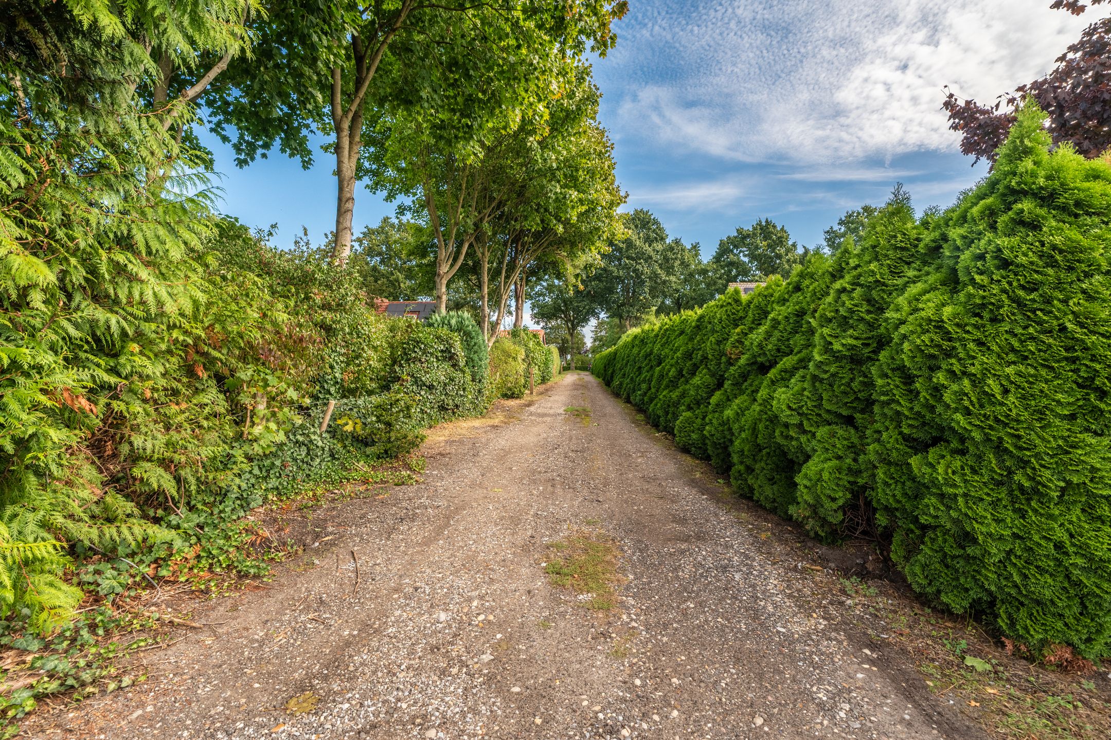 Photo 9 of Sportweg 10