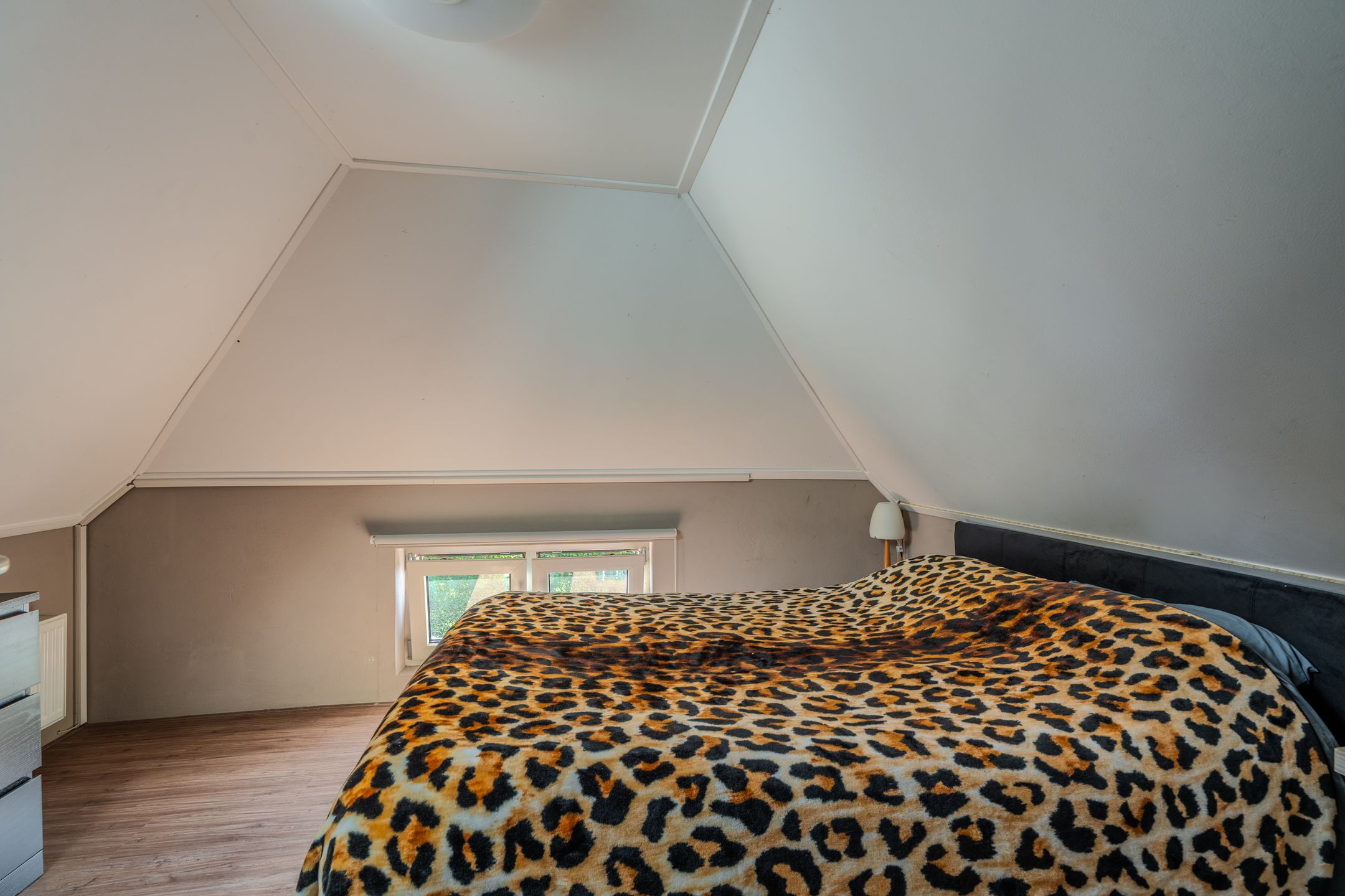 Photo 54 of Sportweg 10