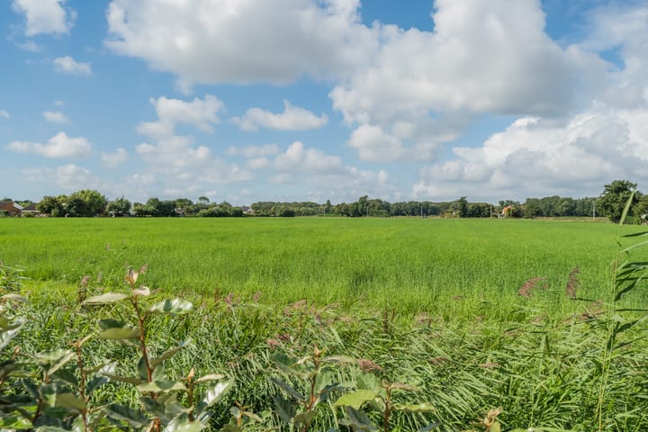 Photo 34 of Driehuizerweg 8-236