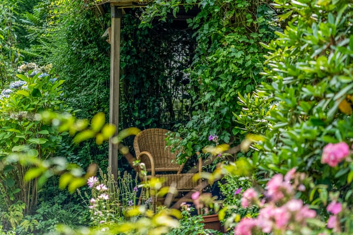 Foto 44 van Burgemeester Prinslaan 53