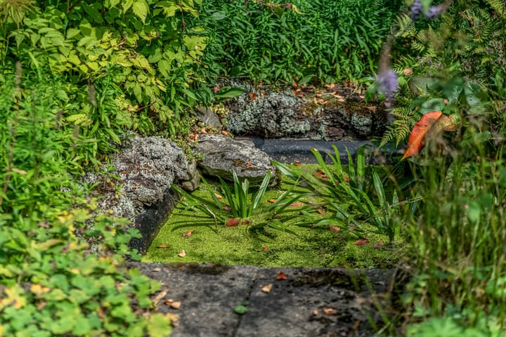 Foto 66 van Burgemeester Prinslaan 53