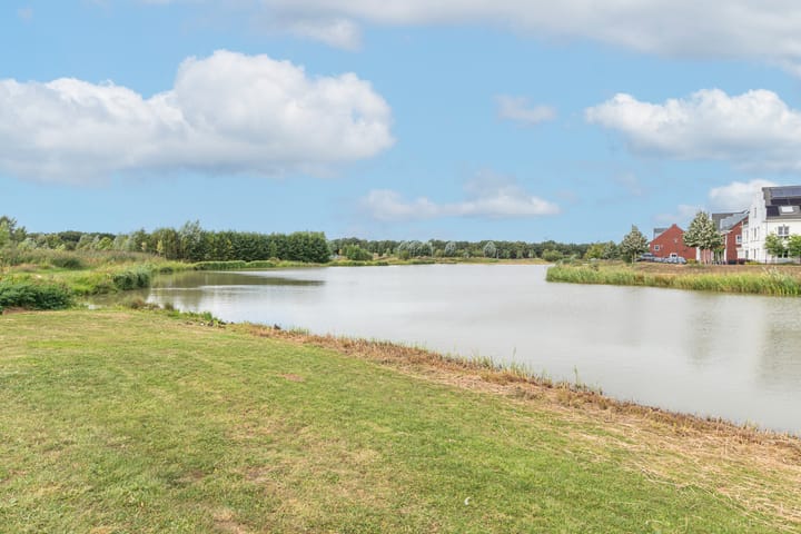 Foto 37 van Sterappelpad 3