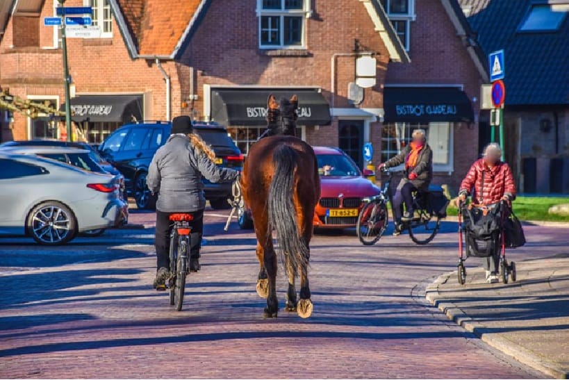 Photo 40 of Stachouwerweg 26