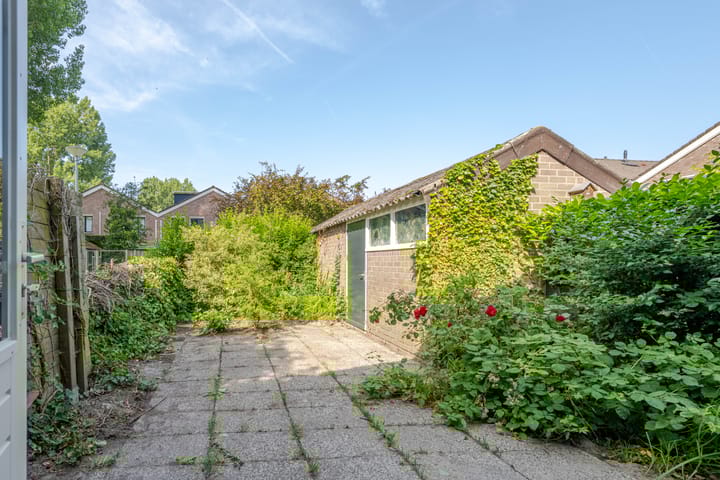 Photo 18 of Zevenoord 2