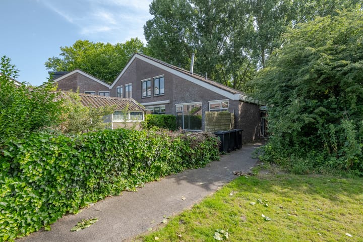 Photo 19 of Zevenoord 2