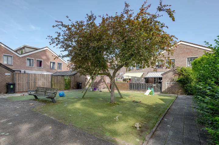 Photo 20 of Zevenoord 2