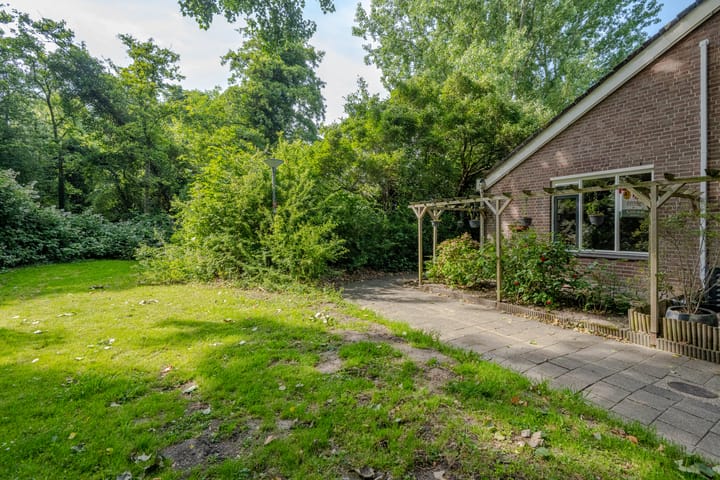 Photo 21 of Zevenoord 2