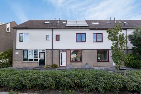 undefined main image