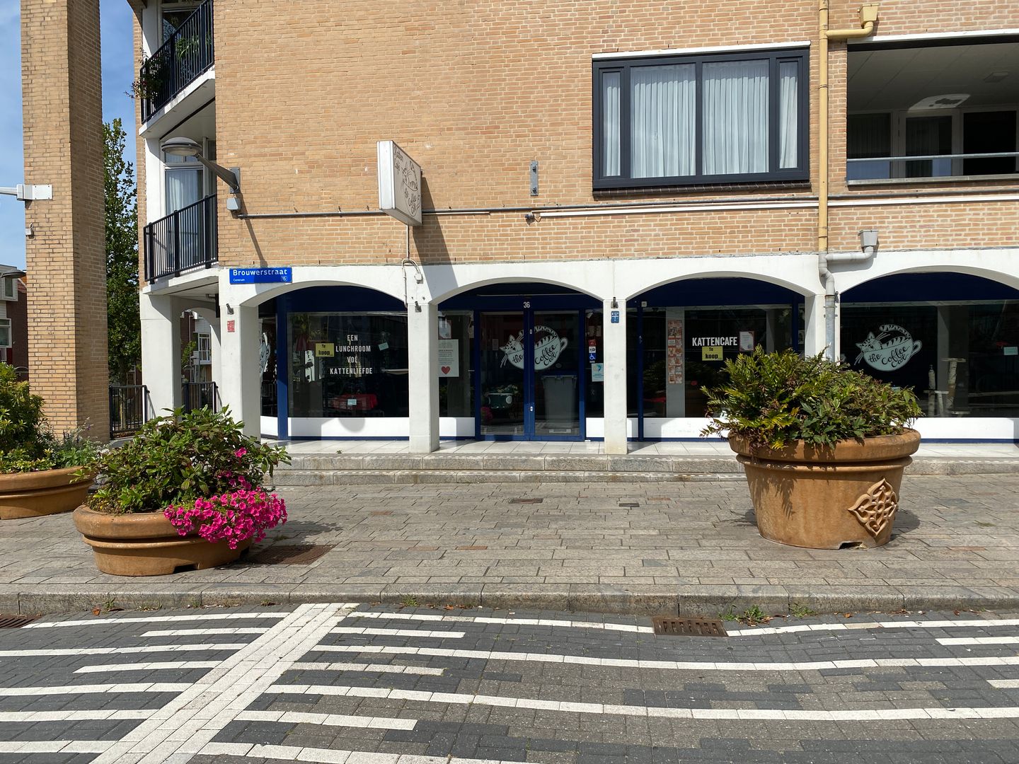 Bekijk foto 2 van Brouwerstraat 36