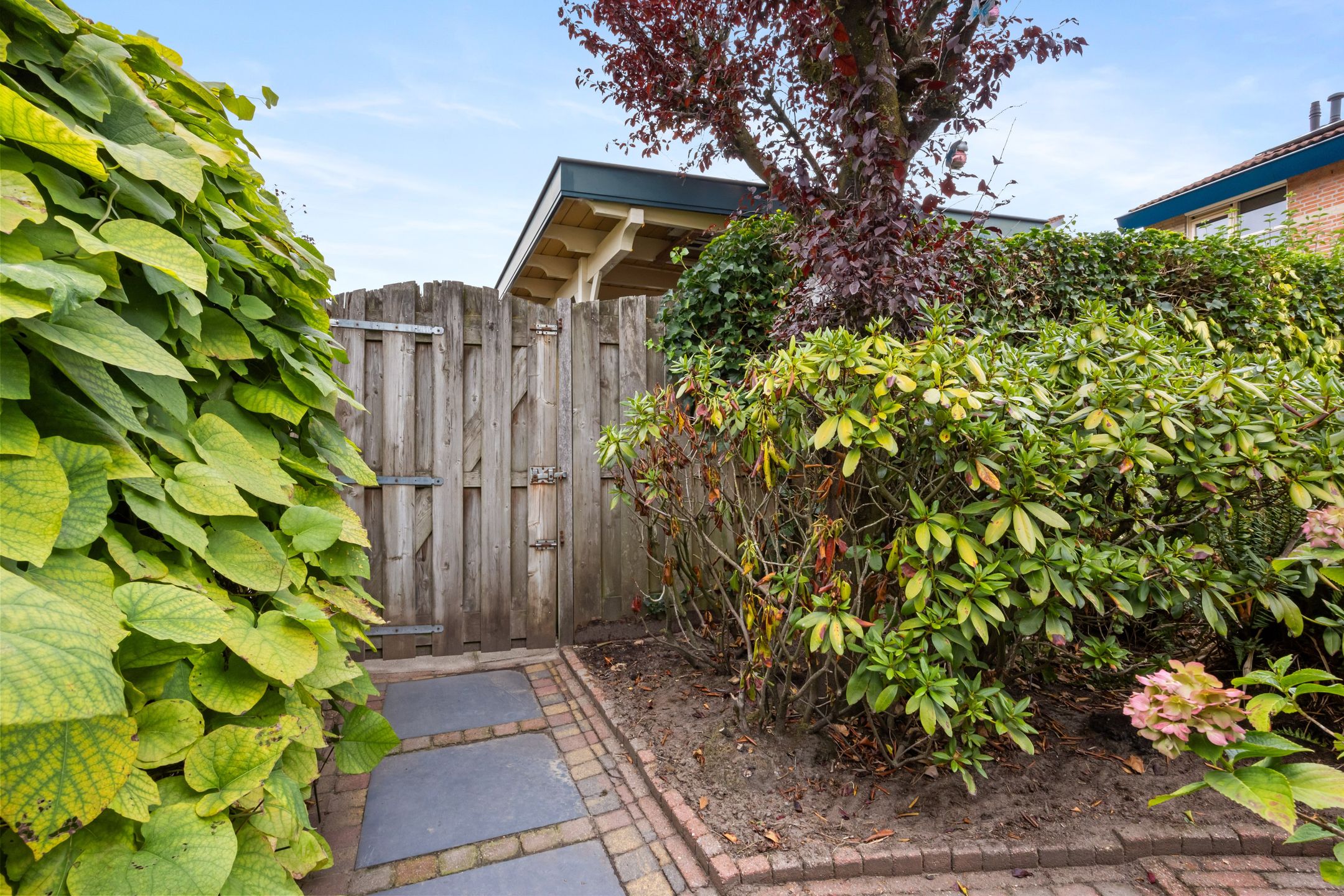 Foto 45 van Van Breugelplantsoen 56