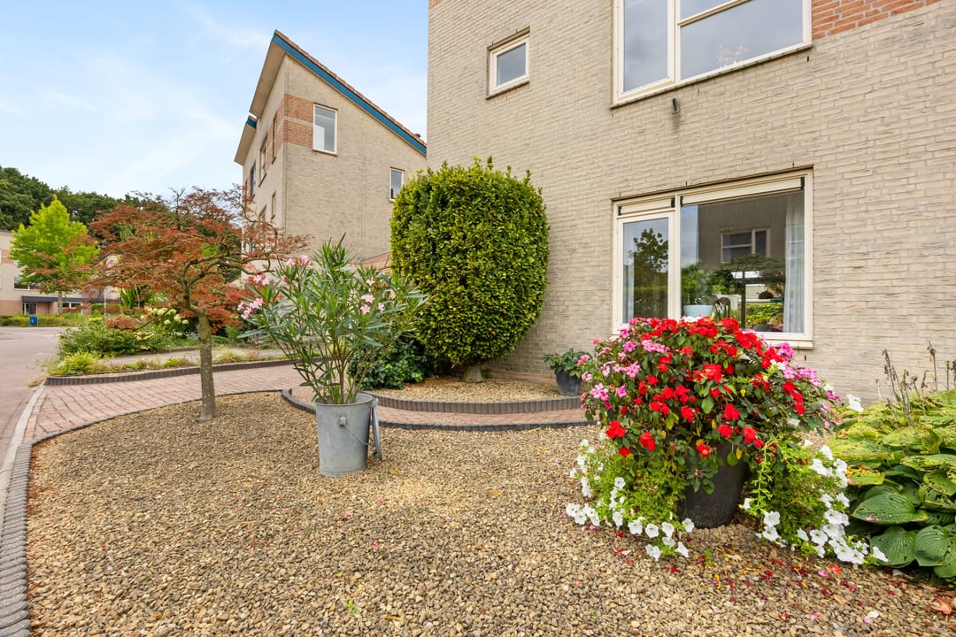 Foto 47 van Van Breugelplantsoen 56