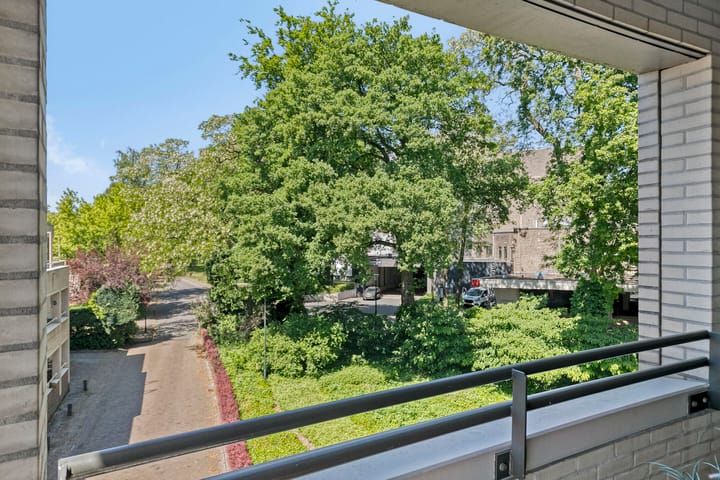 Photo 24 of Amphion 102