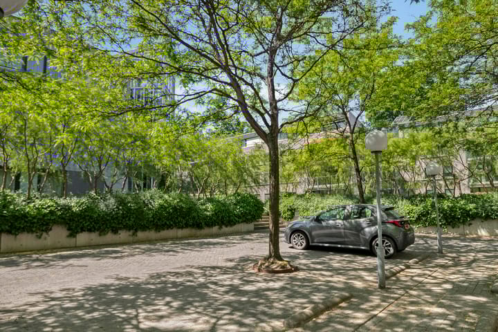 Photo 37 of Amphion 102