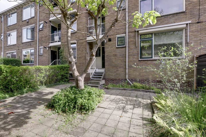 Foto 24 van Statensingel 49