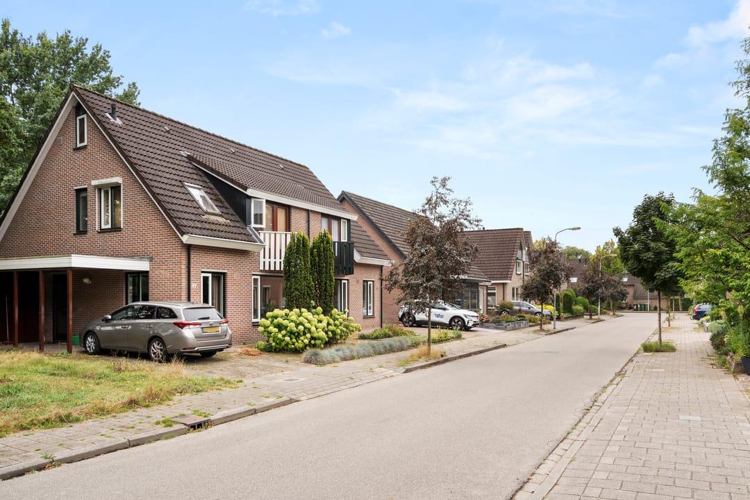 Photo 2 of Boterbloem 49