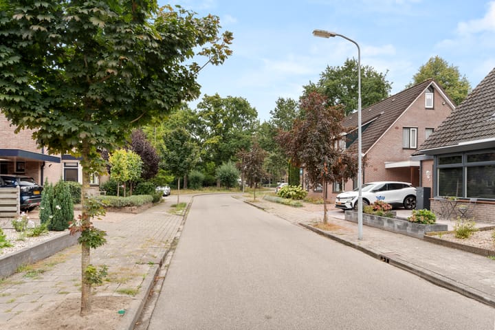 Photo 3 of Boterbloem 49