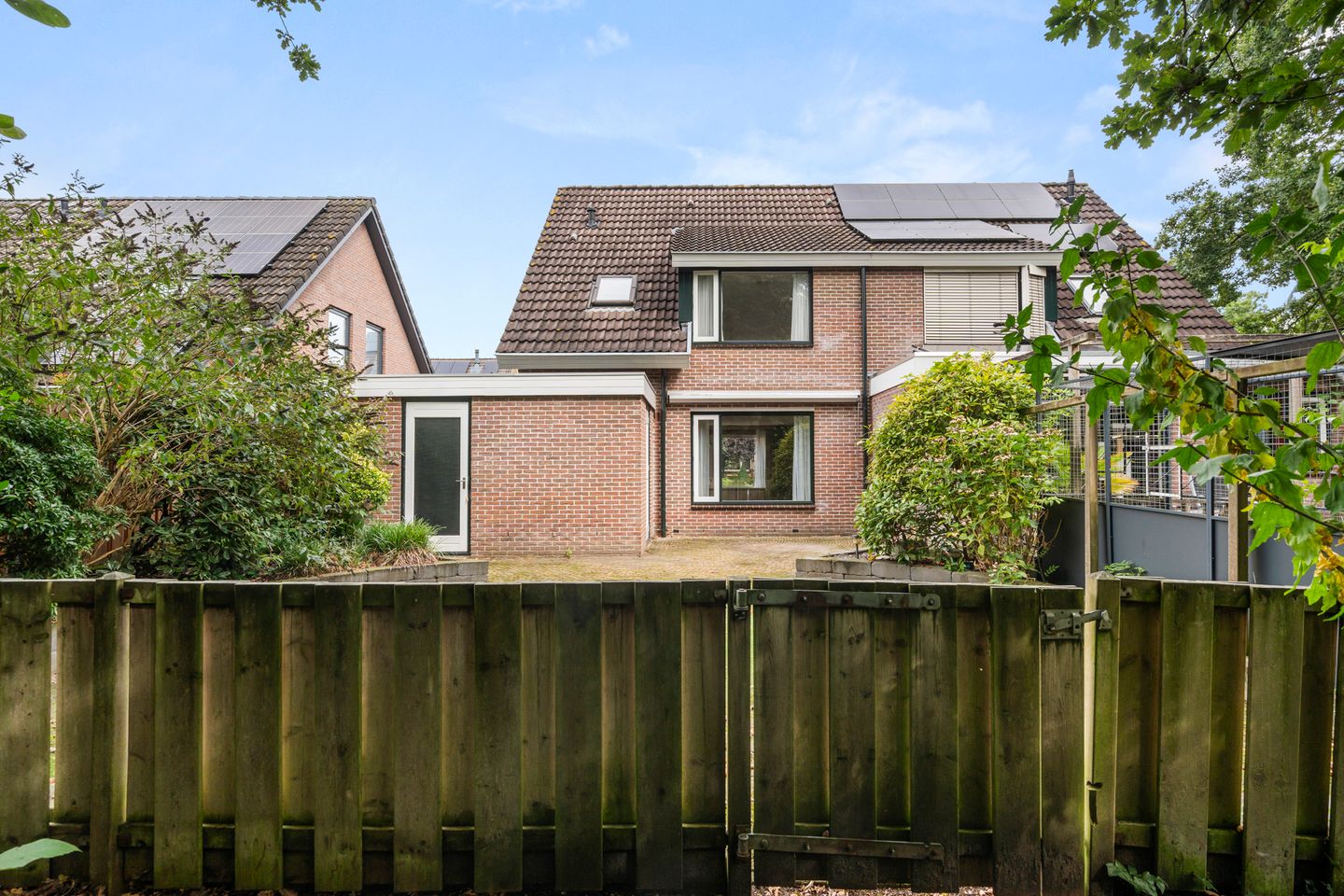 Photo 5 of Boterbloem 49