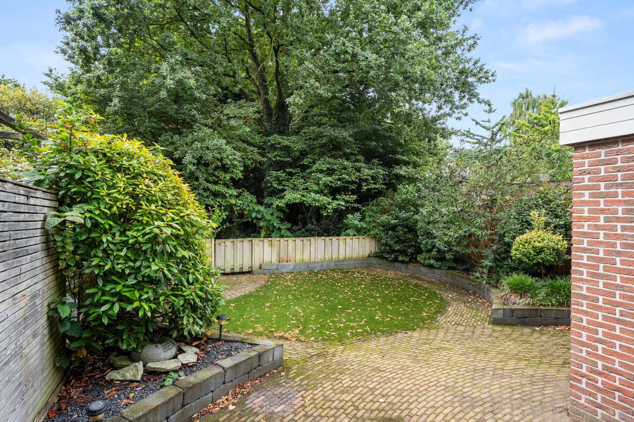 Photo 6 of Boterbloem 49